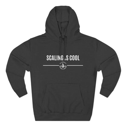 Scaling is Cool Hoodie